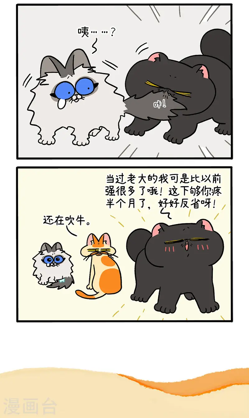 第49话1 真正的兄妹5