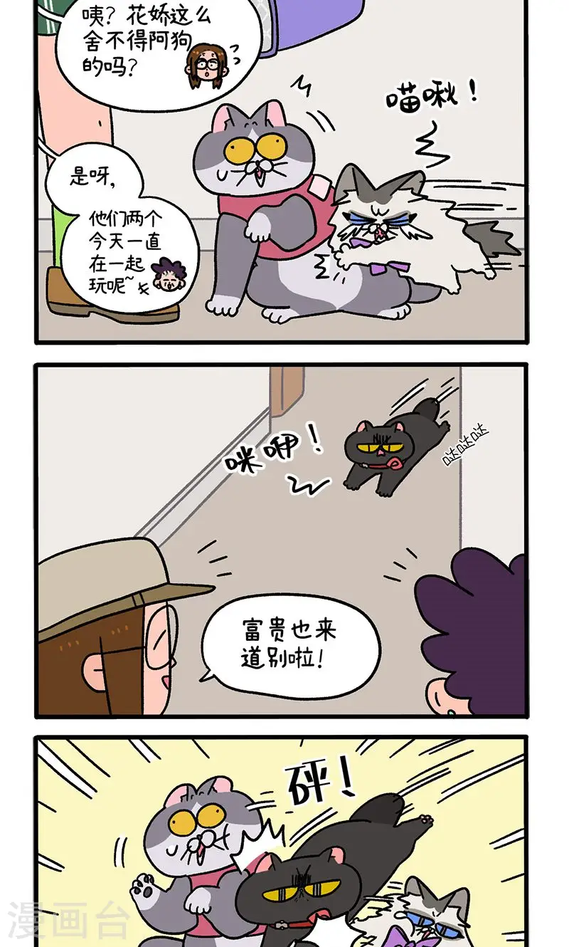 第101话2 哥哥不同意1