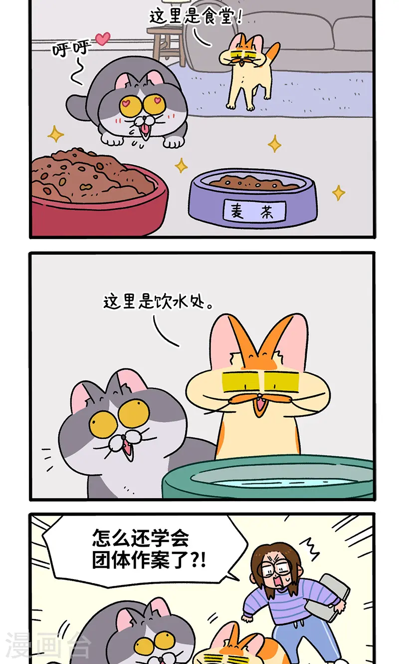 第90话 麦茶待客1