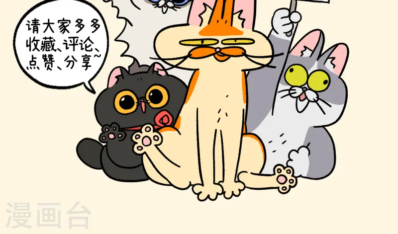 第118话 猫晶晶疑云128