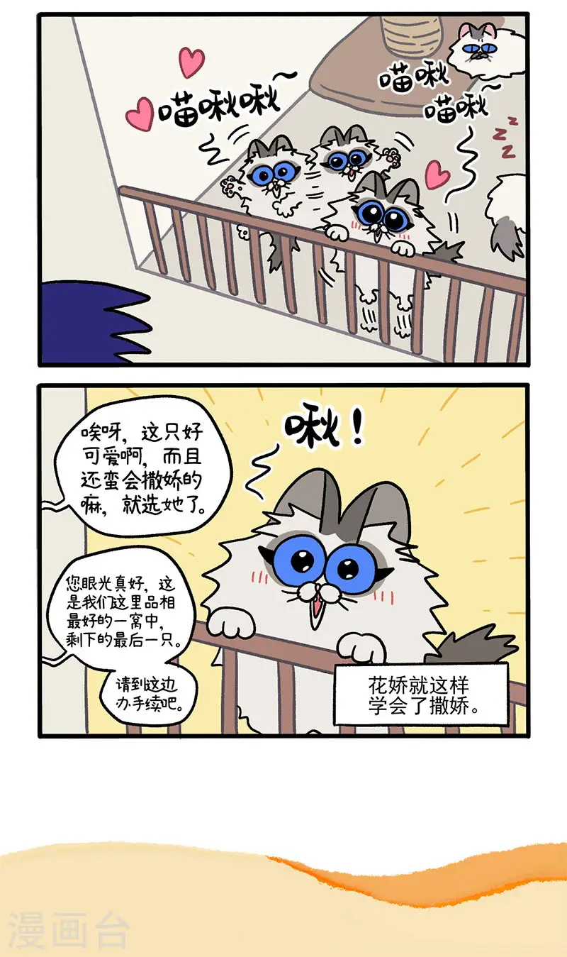 第47话1 花娇的过去4