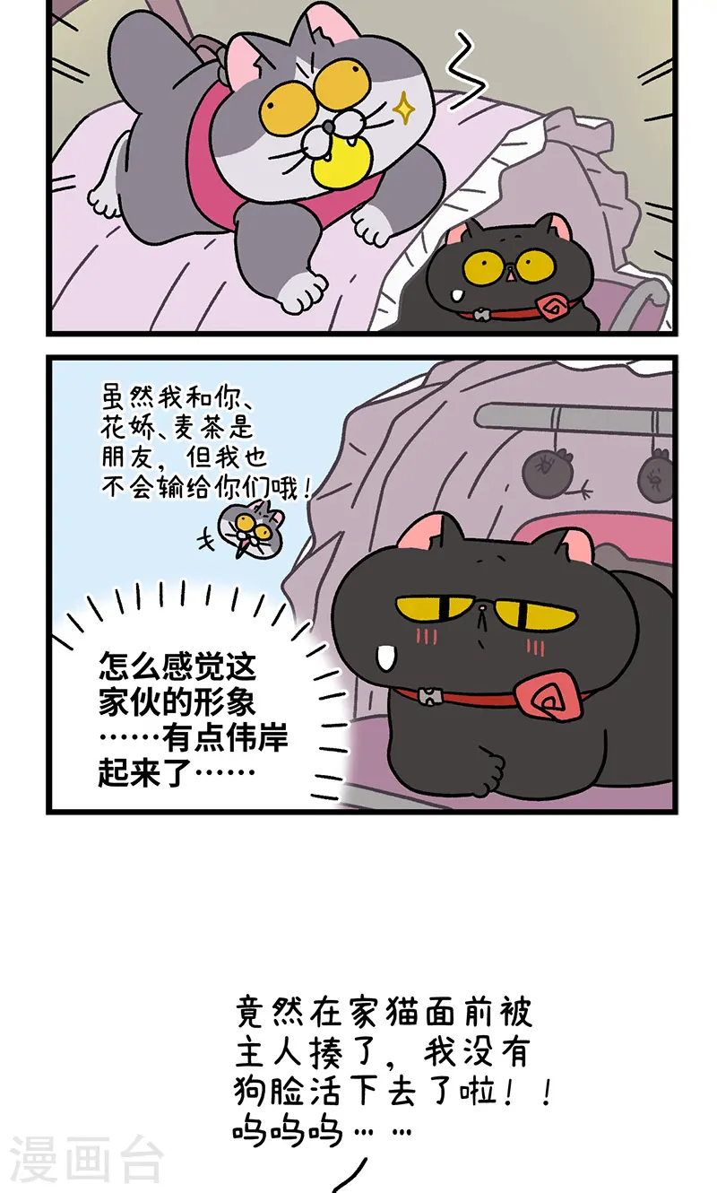 第103话2 球球之魂5