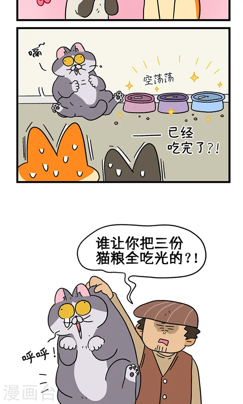 第79话 默默是大功臣5