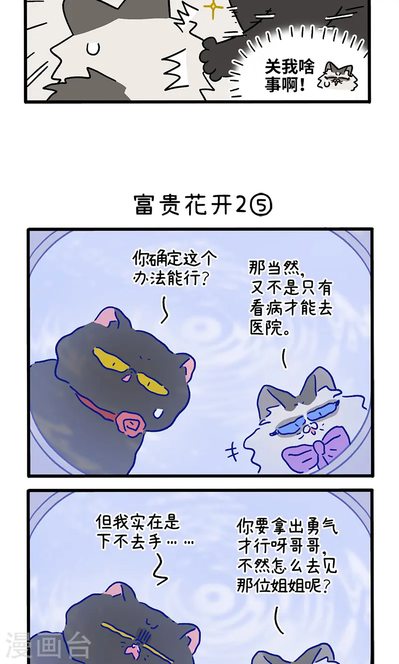 番外22下 富贵花开22