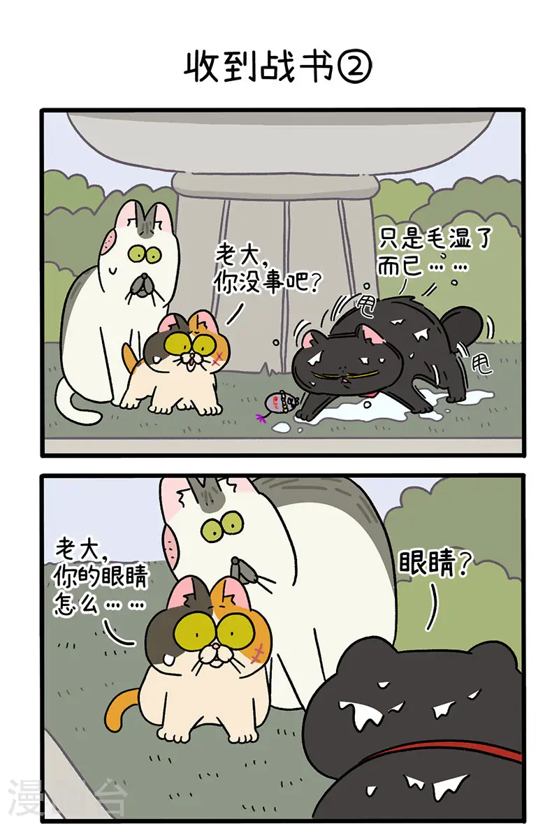 第41话 收到战书2