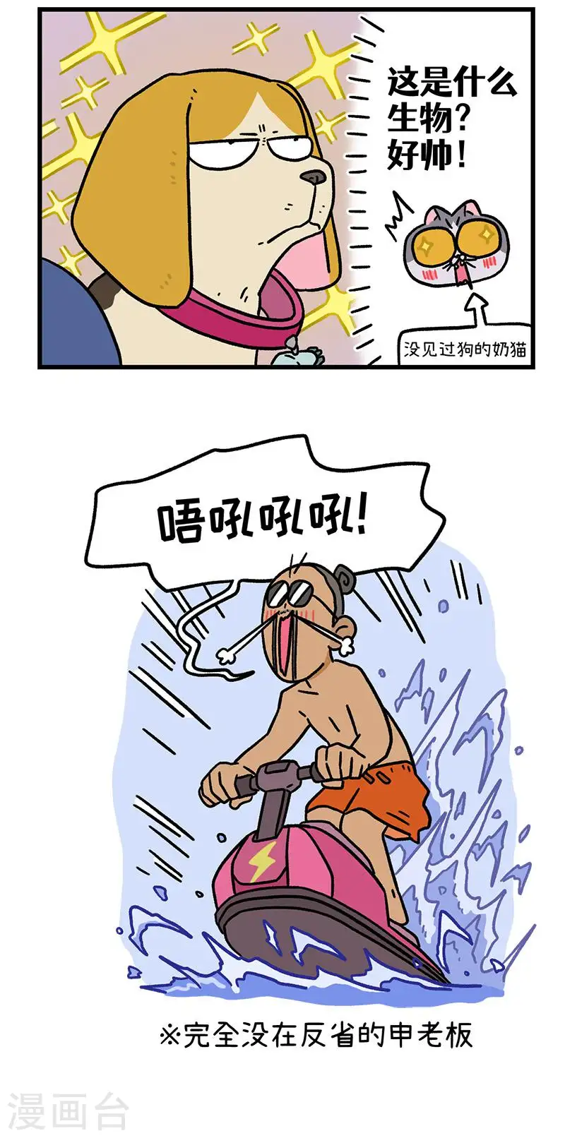 第127话2 关于毛哥是怎么有狗的4