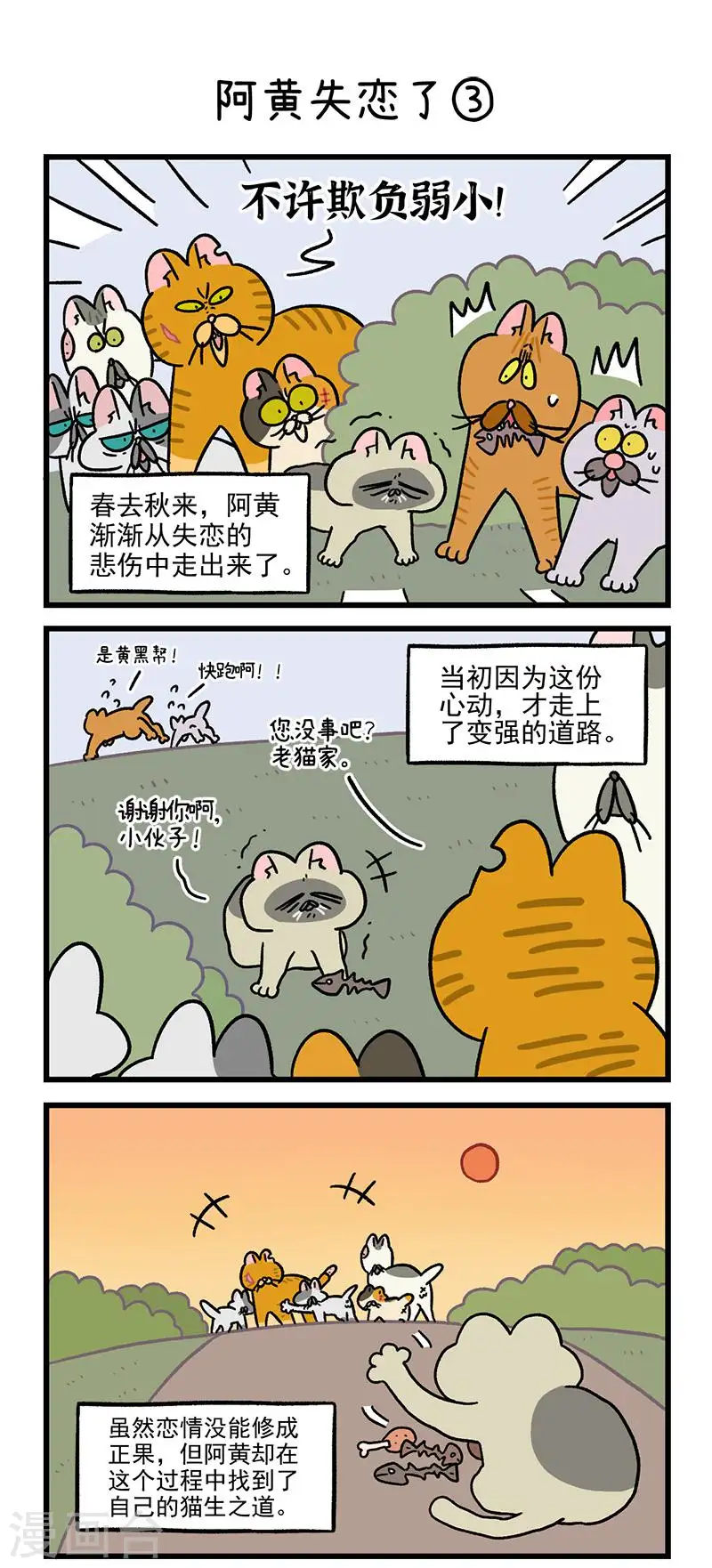 番外6 阿黄失恋了3