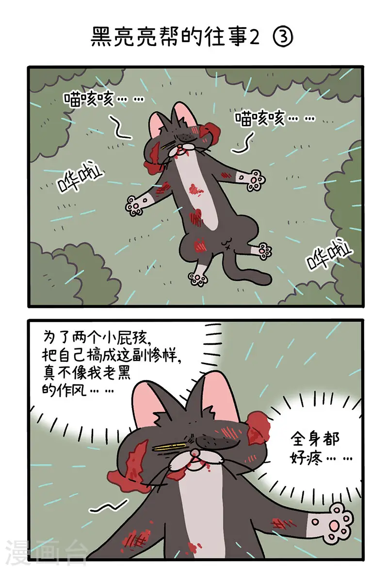 番外9上 黑亮亮帮的往事4