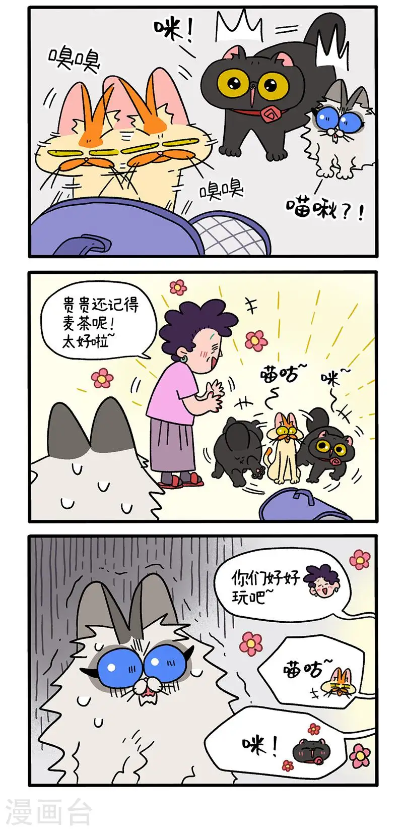 第35话1 麦茶来了2