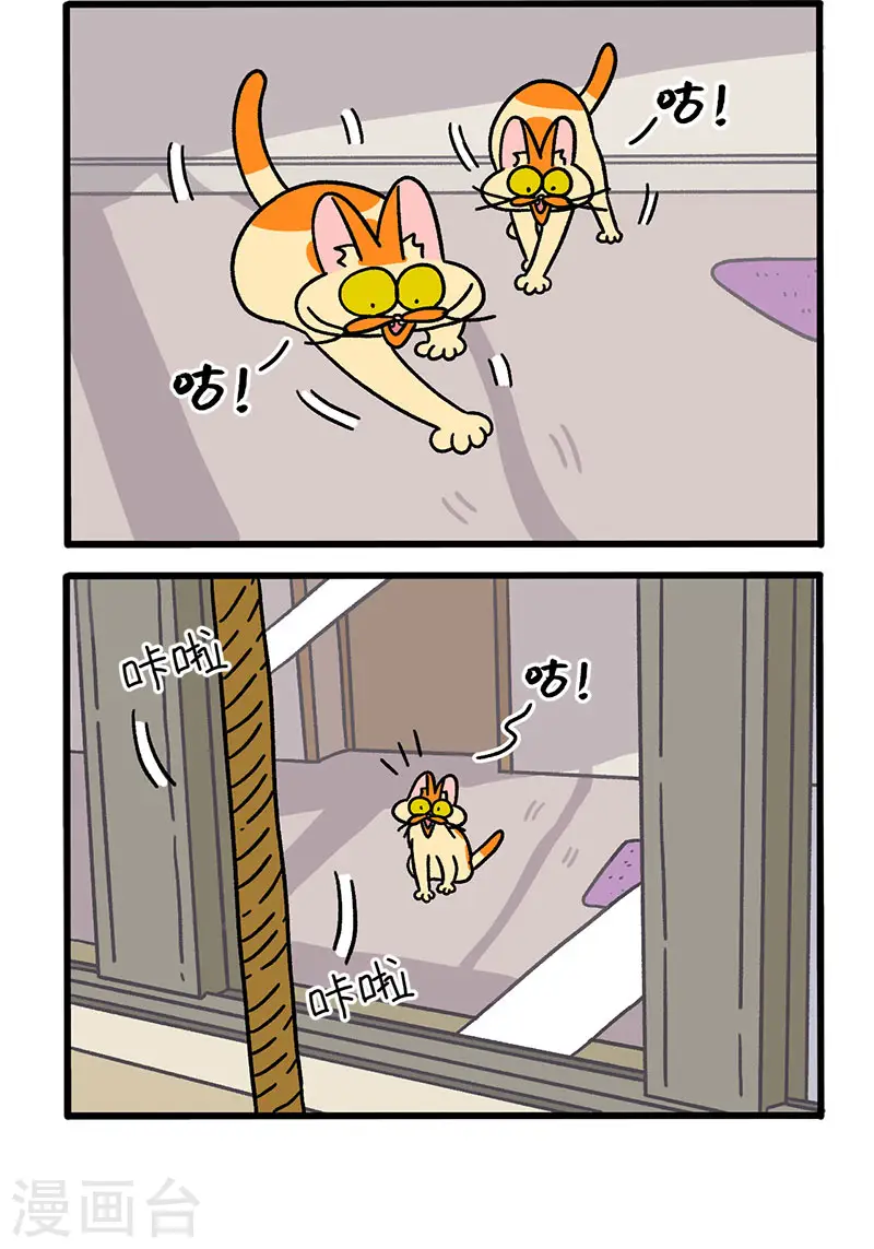 第54话 窗外怪影1