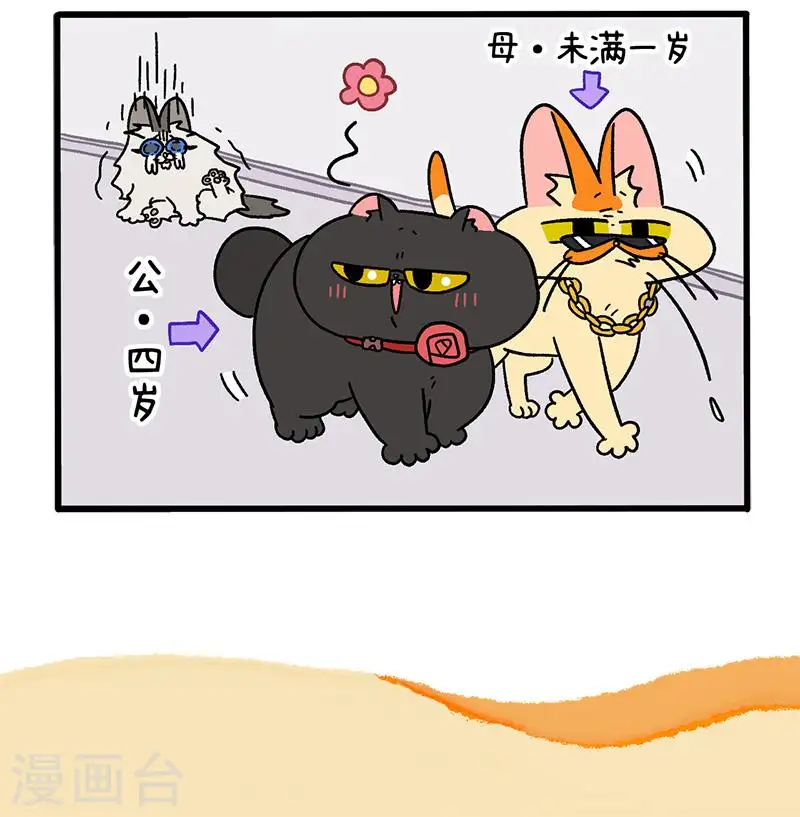 第35话1 麦茶来了4