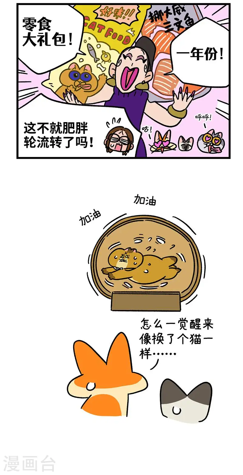 第135话2 德皮特减肥记44