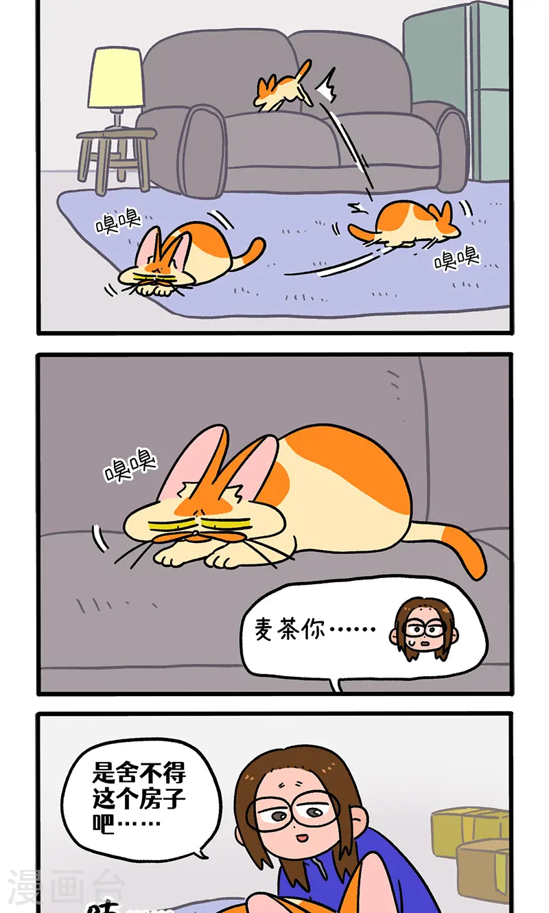 第138话2 再见第一个家1