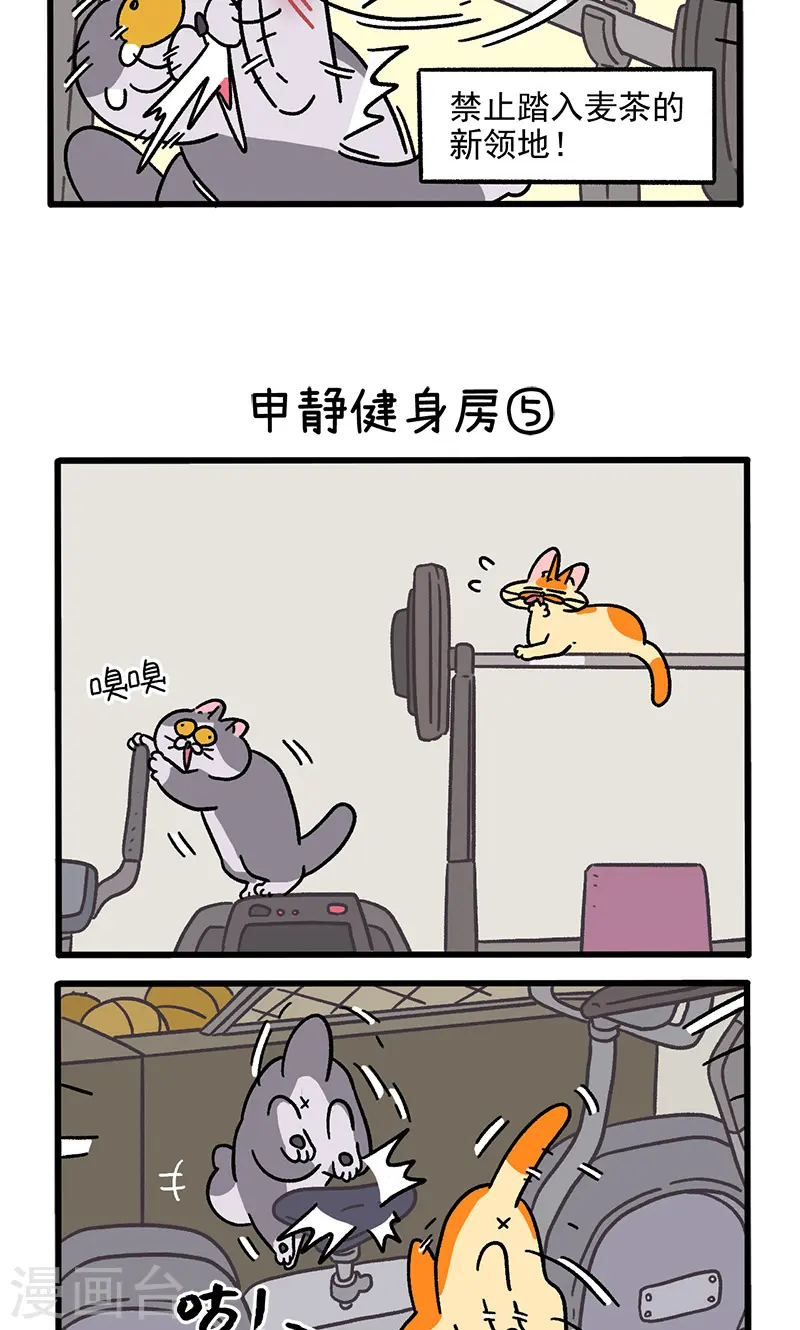 第120话2 申静健身房2