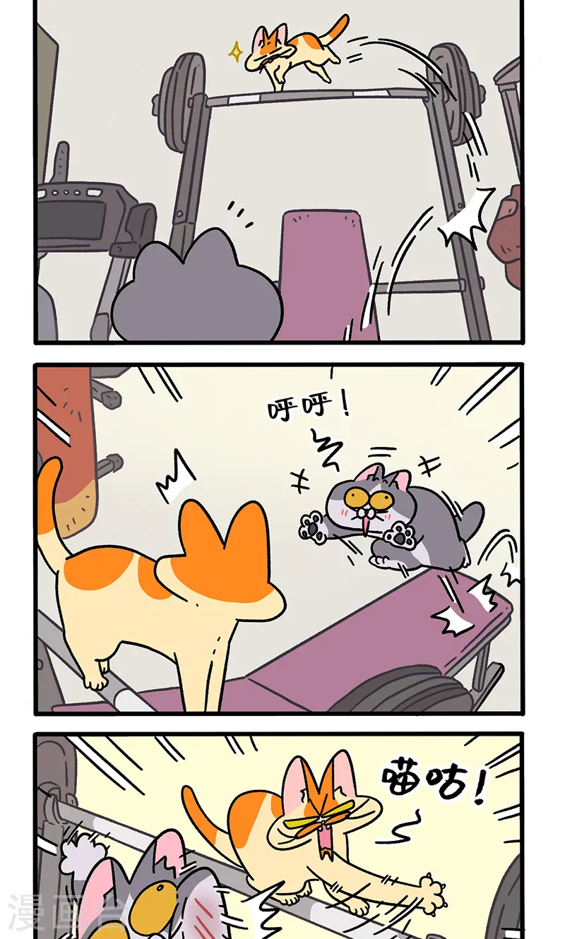 第120话2 申静健身房1