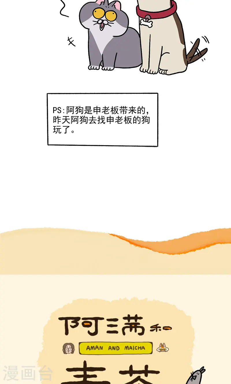 第86话 猫晶晶疑云46