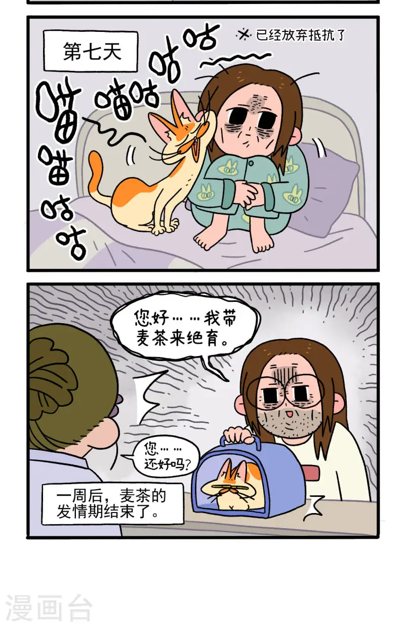 第12话2 夜间噪音4