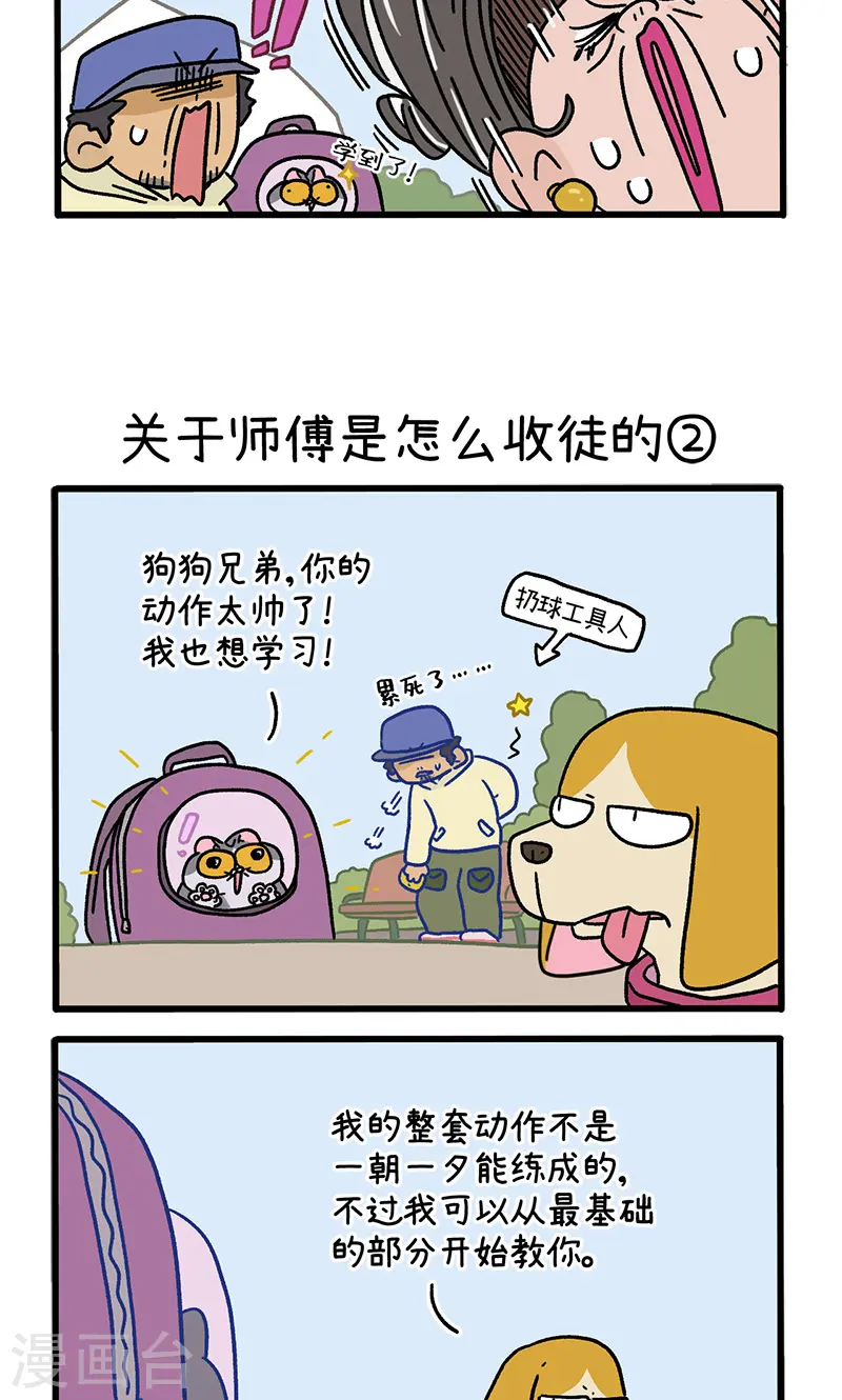 第130话1 关于师傅是怎么收徒的2