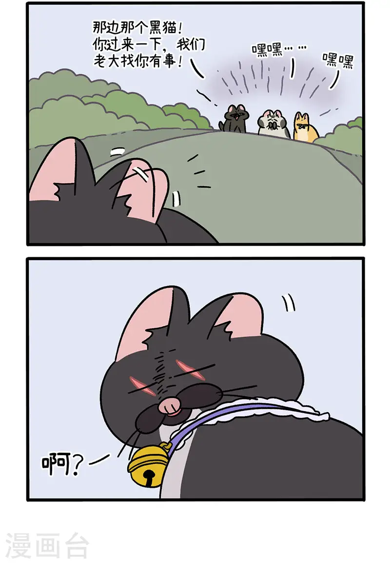 番外10 疤脸猫传说1