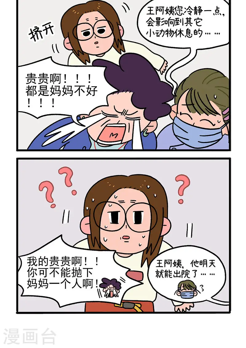 第14话 住院部的加菲猫3