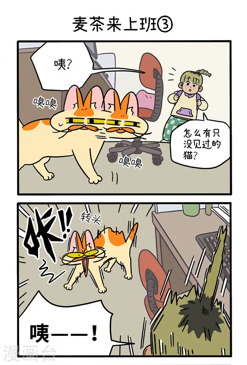 第63话1 麦茶来上班3