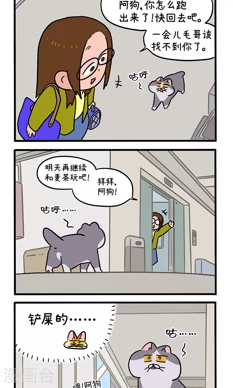 第154话2 如果交换身体的话51