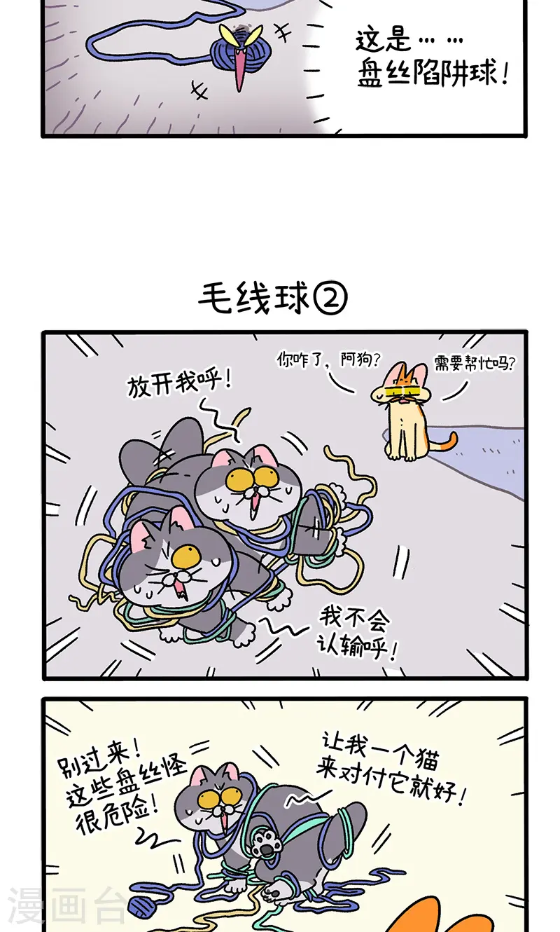 第94话 毛线球2