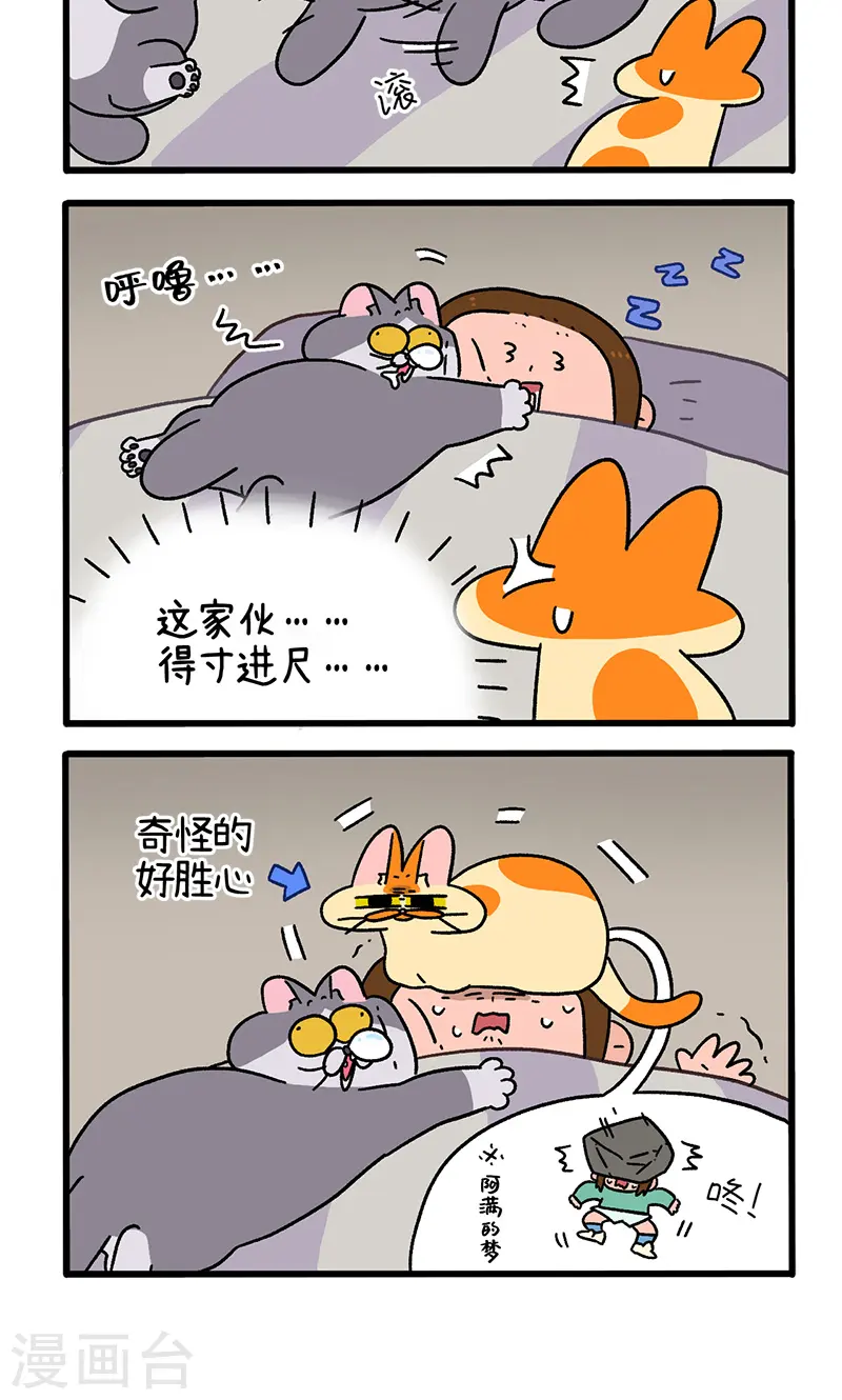 第93话 两只猫陪睡3
