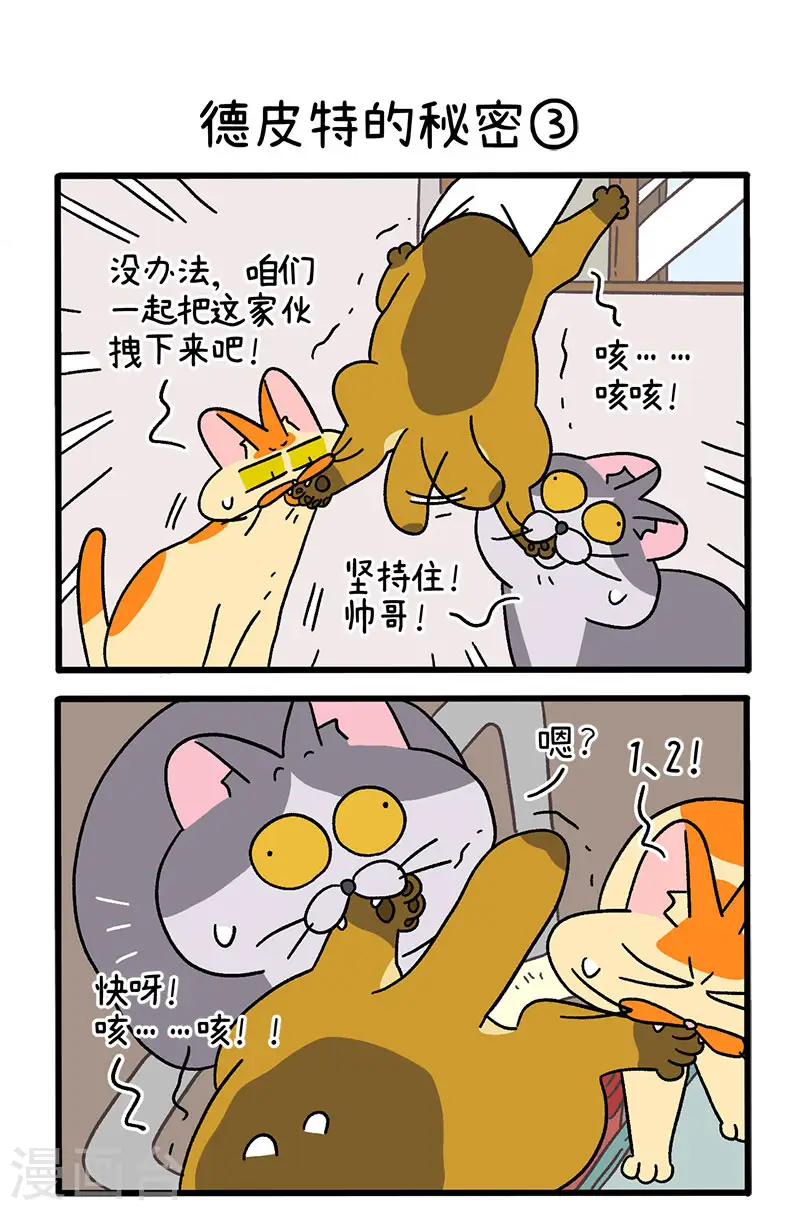 第74话1 德皮特的秘密3
