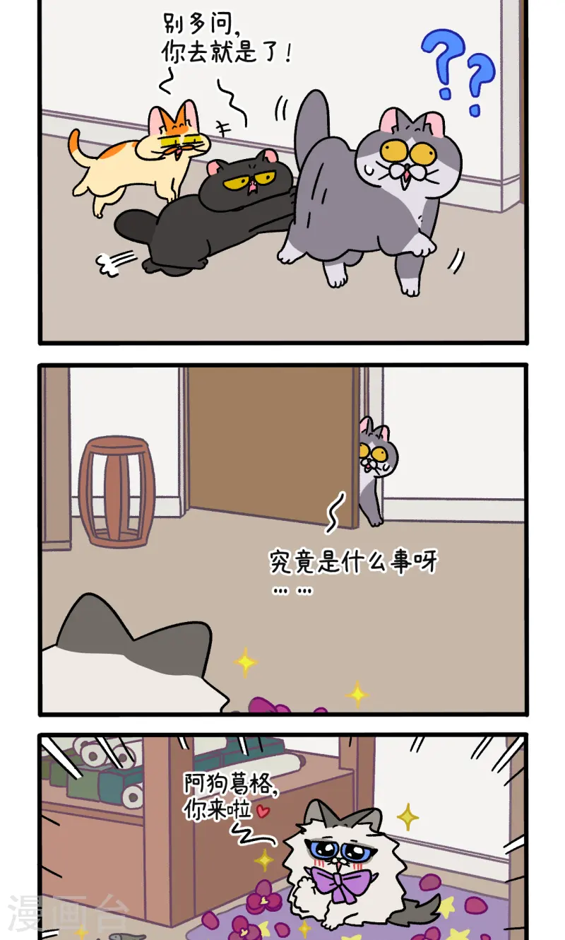 第107话1 告白1