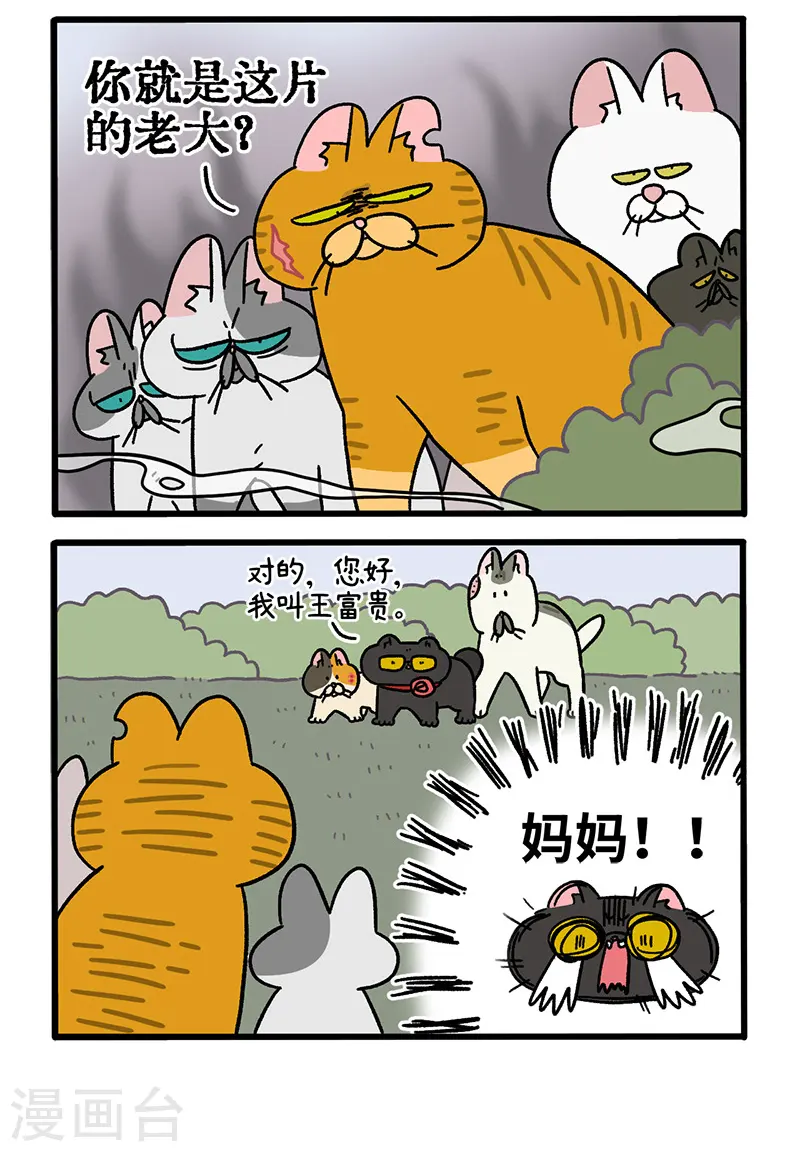 第43话1 帮派之争1