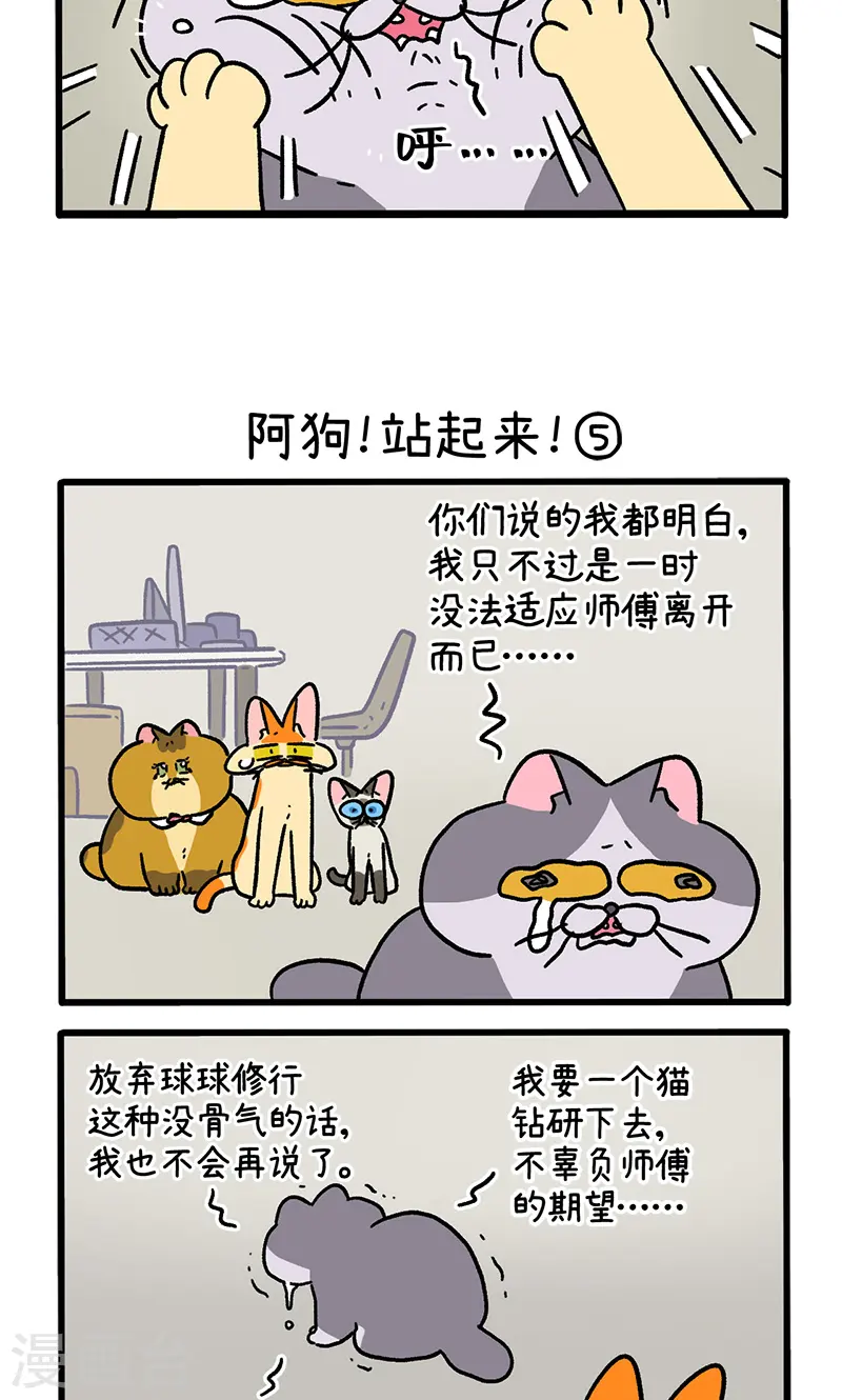 第131话2 阿狗！站起来！2