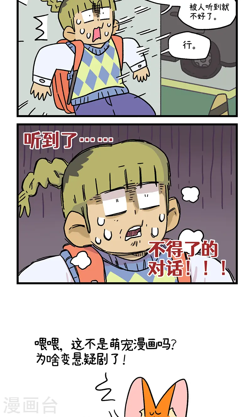 第113话 猫晶晶疑云75