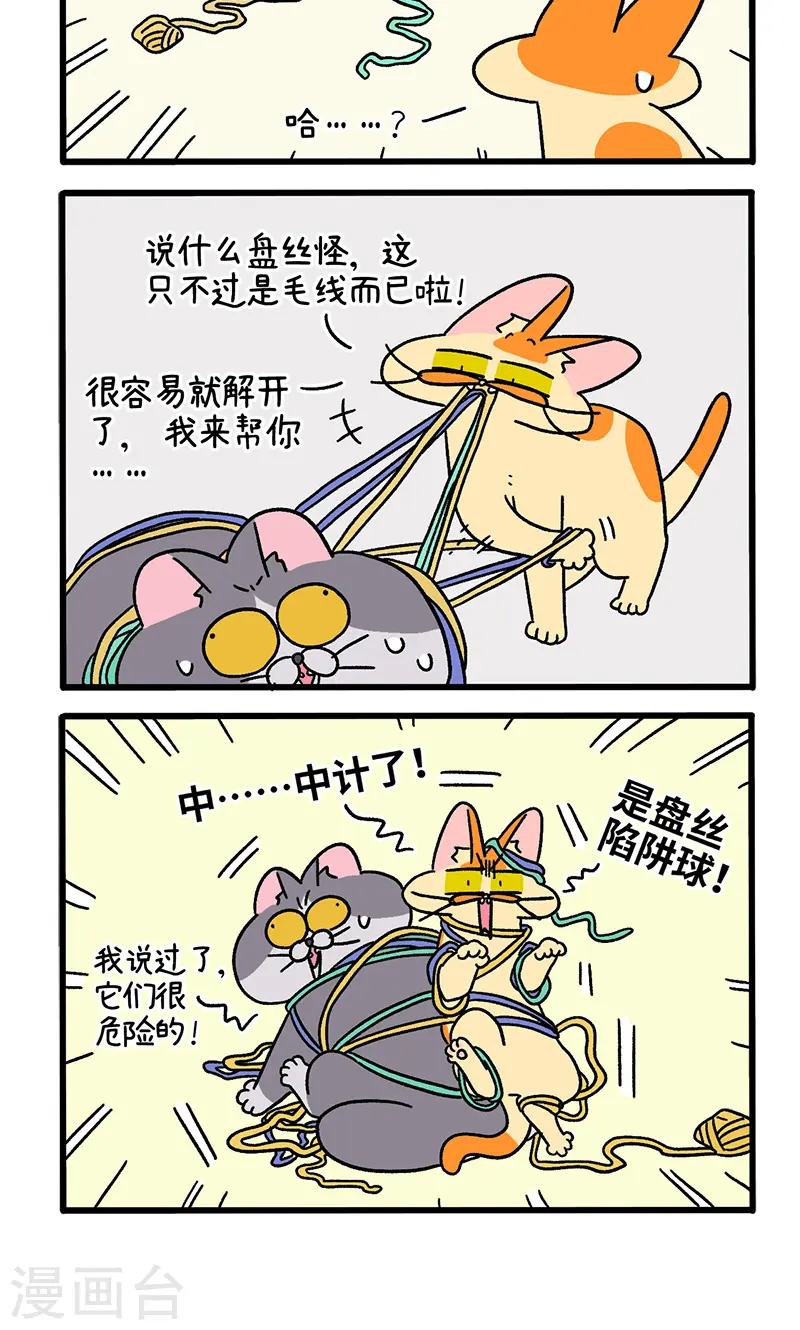 第94话 毛线球3