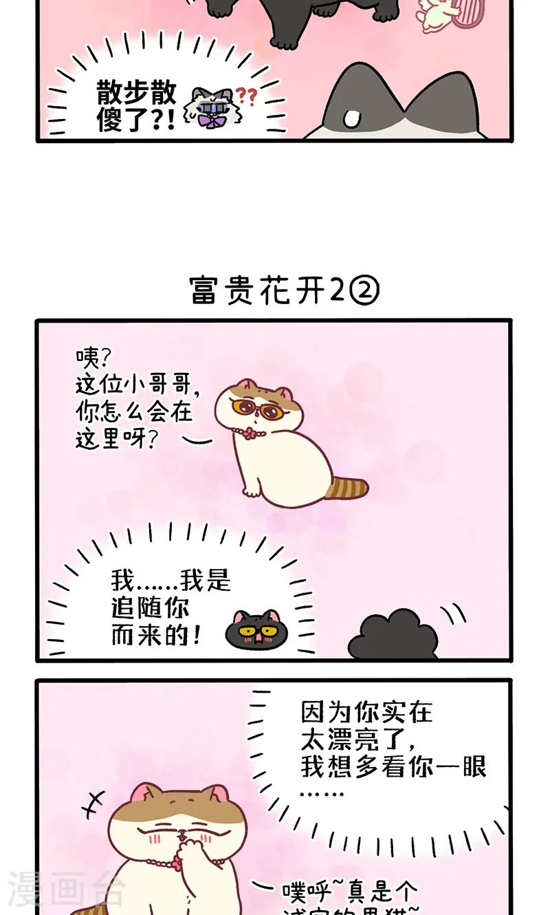 番外22上 富贵花开22