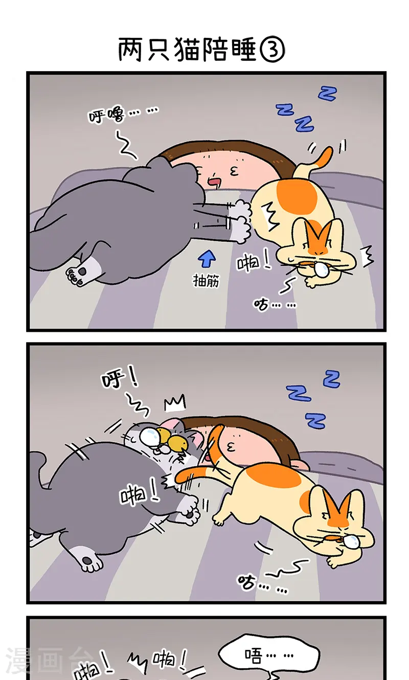 第93话 两只猫陪睡4