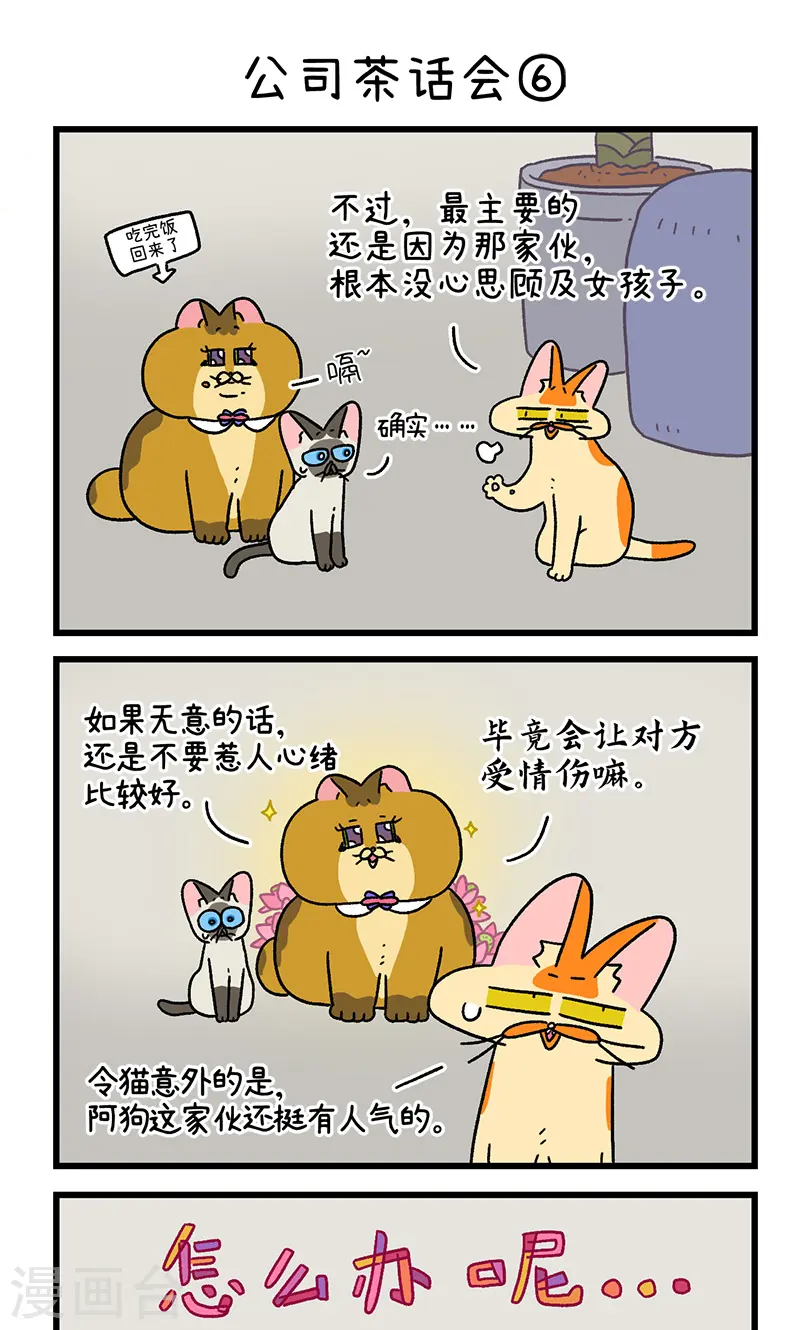 第110话2 公司茶话会4