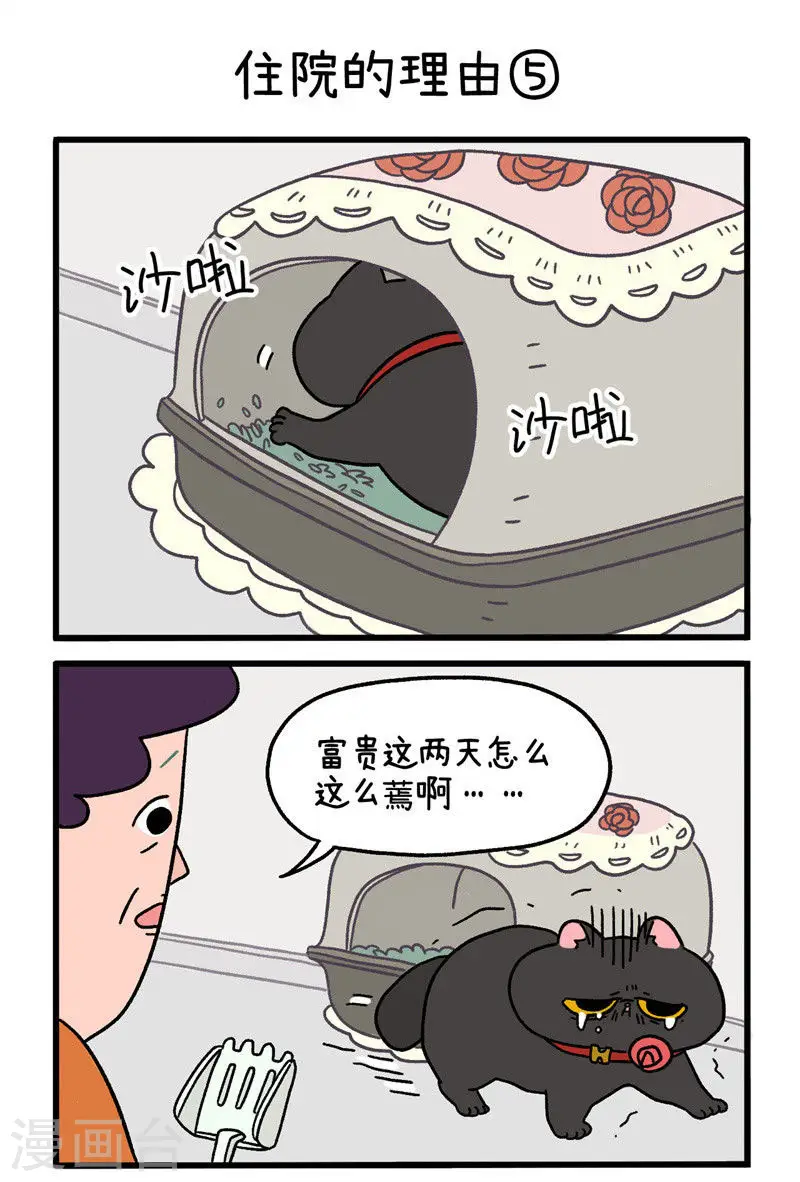 第16话2 住院的理由2