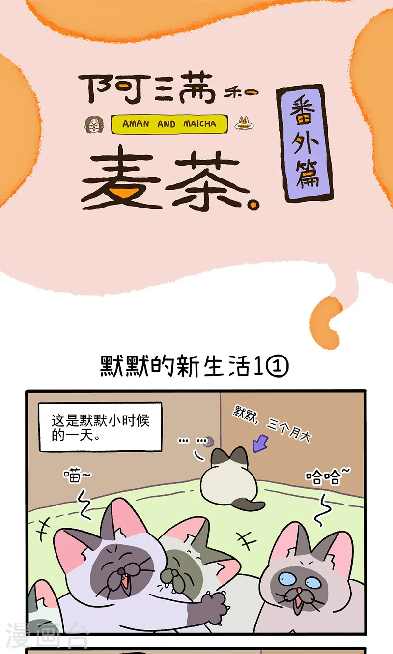 番外15上 默默的新生活10