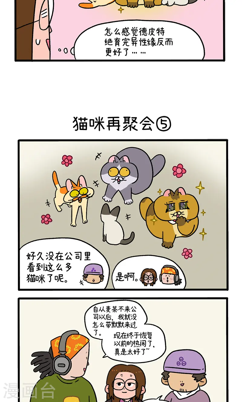 第82话2 猫咪再聚会2