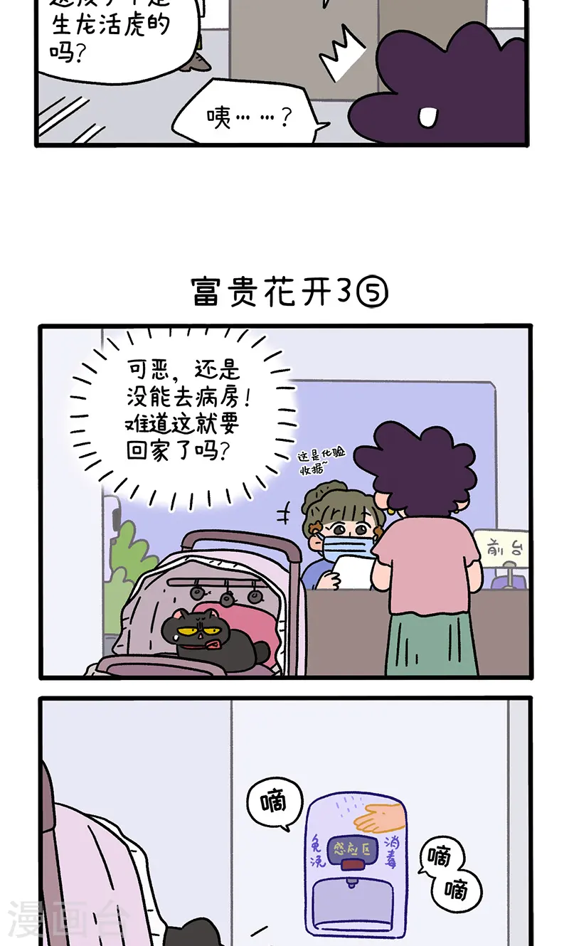 番外23下 富贵花开32