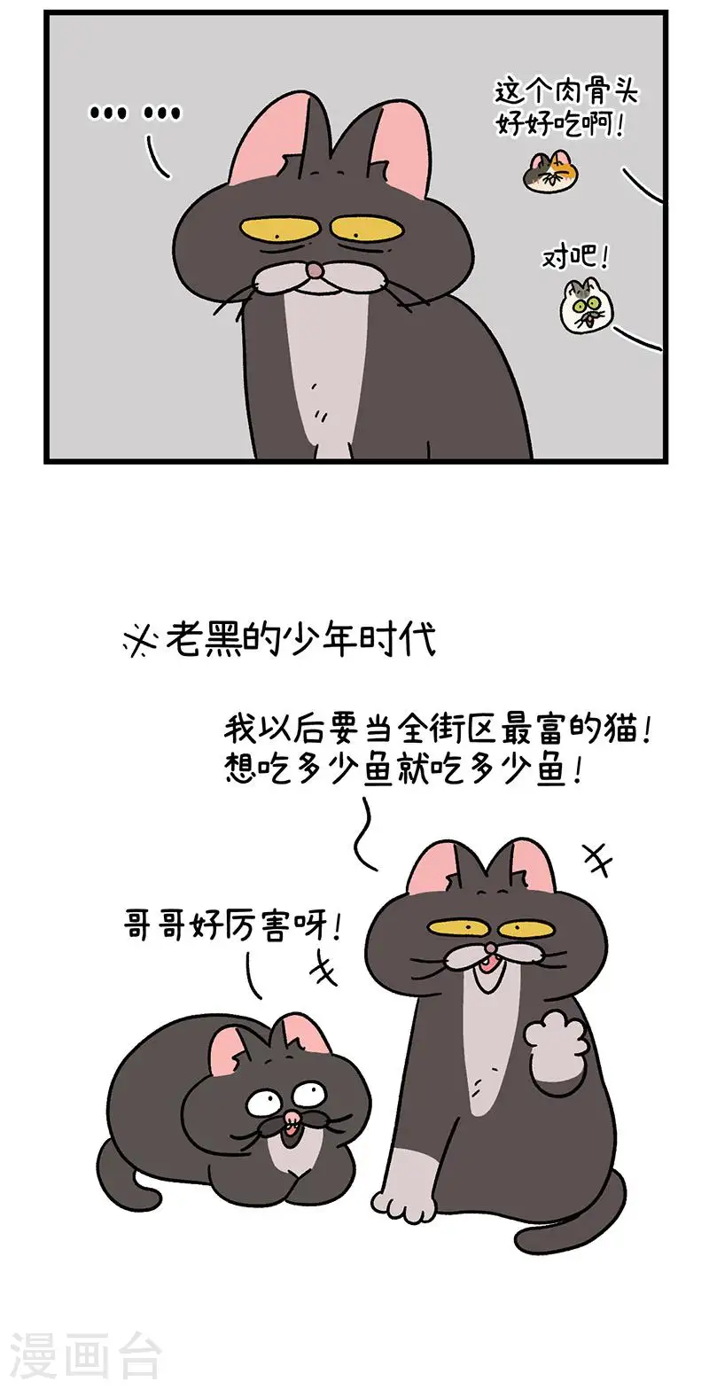 番外8下 黑亮亮帮的往事4