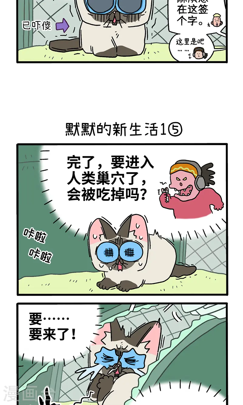 番外15下 默默的新生活12