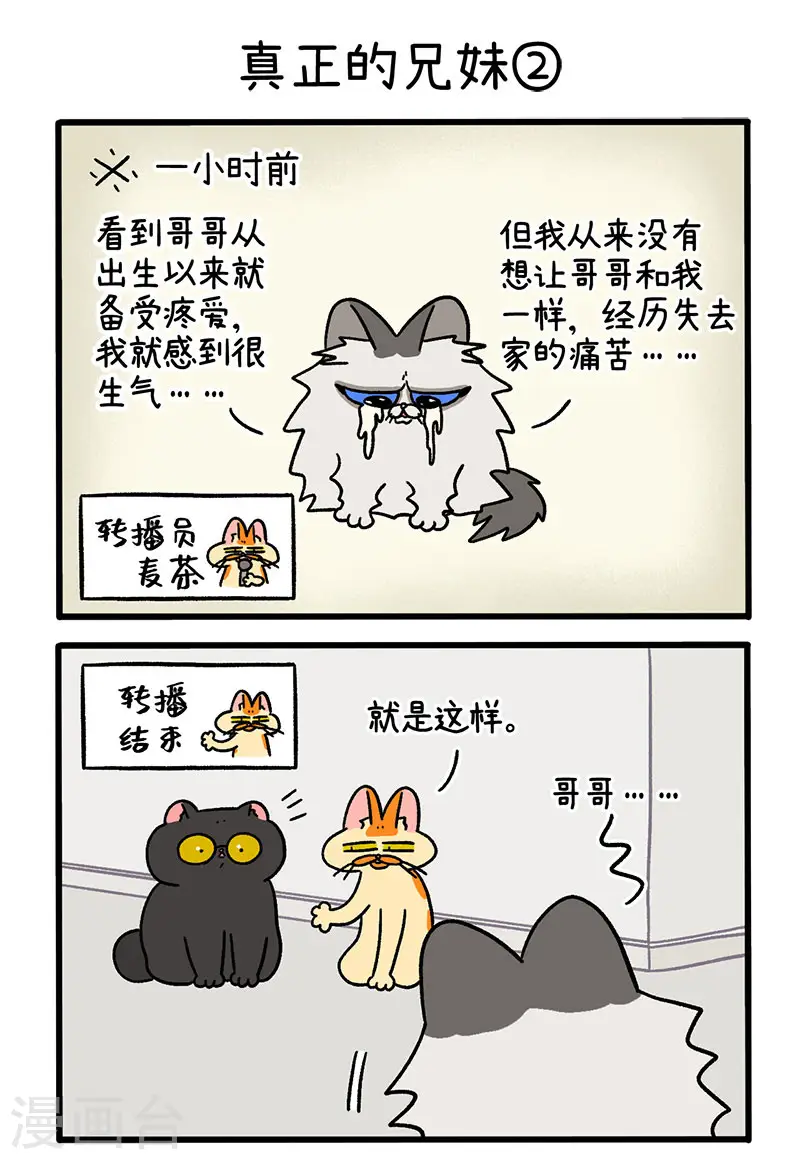 第49话1 真正的兄妹2