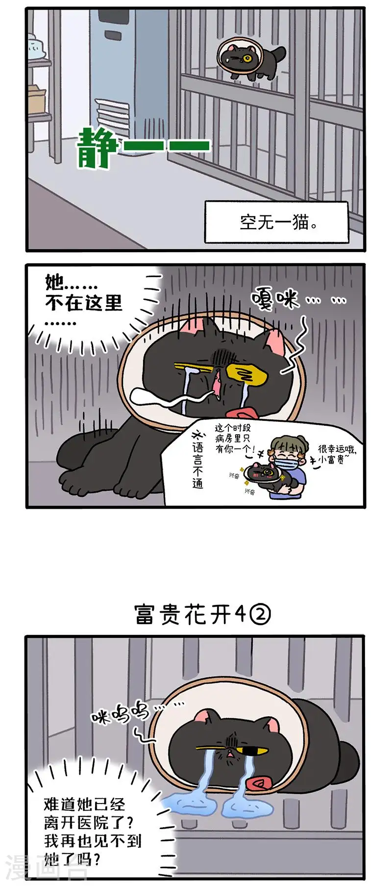 番外24上 富贵花开41
