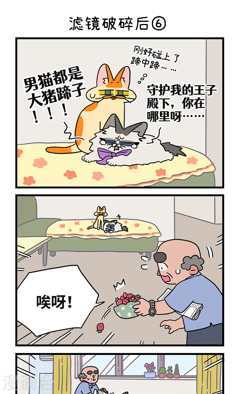 第108话2 滤镜破碎后4