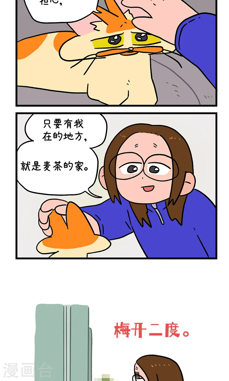 第138话2 再见第一个家5