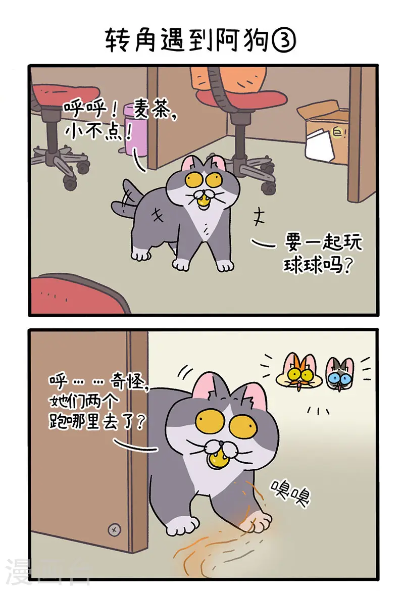 第71话1 转角遇到阿狗3