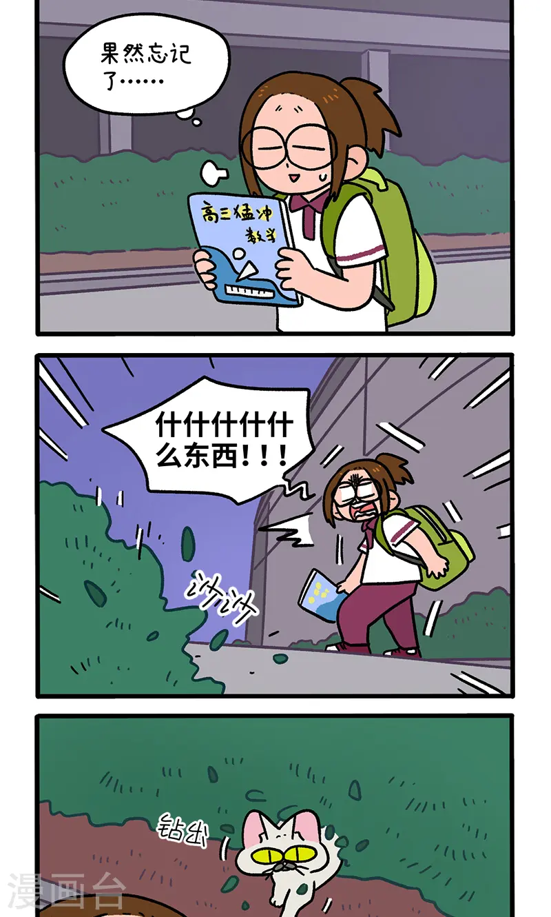 第140话1 第二只猫咪1