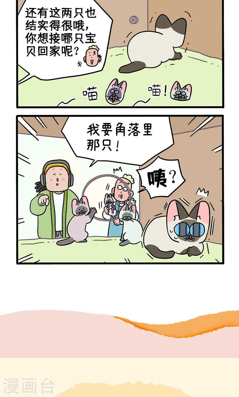 番外15上 默默的新生活15